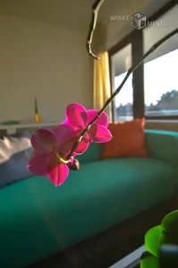 12-Wohnzimmer-3